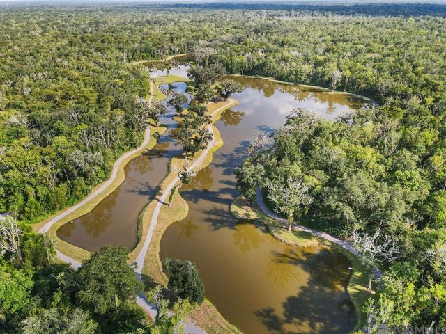 10733 Spring Fest Ln, Baton Rouge, LA 70810