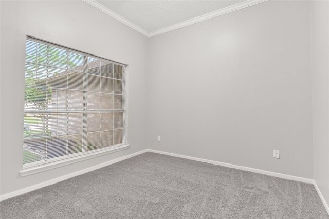 16010 Cedar Gully Drive, Friendswood, TX 77546