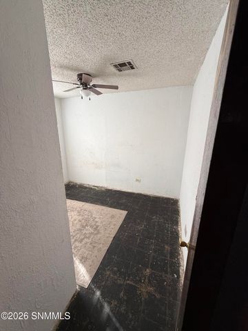1219 McFie Avenue, Las Cruces, NM 88005