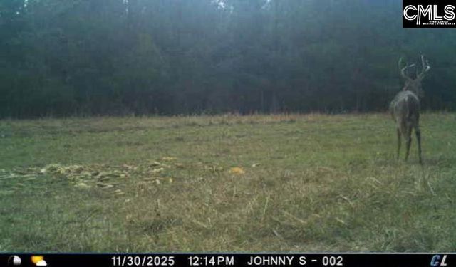 174 BOTTLEBRUSH ROAD, North, SC 29112