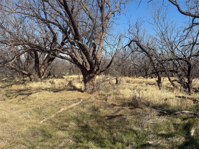 TBD CR 260, Anson, TX 79501