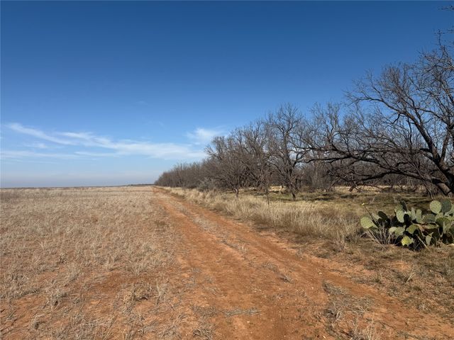 TBD CR 260, Anson, TX 79501