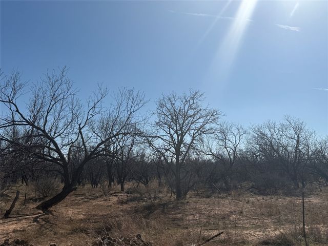 TBD CR 260, Anson, TX 79501