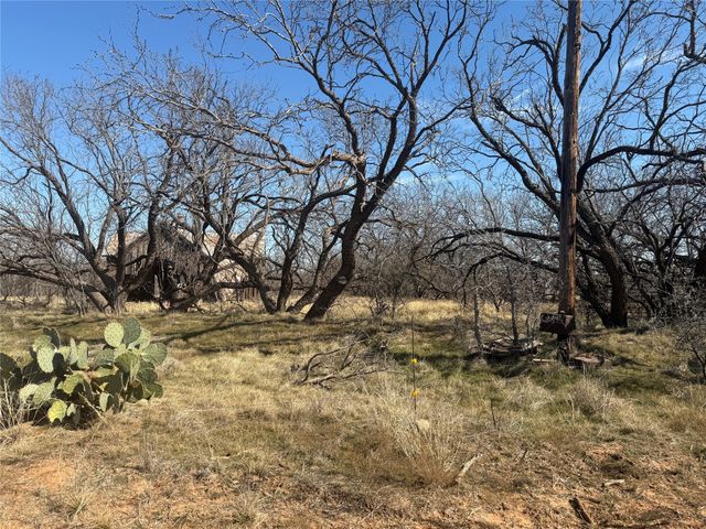 TBD CR 260, Anson, TX 79501