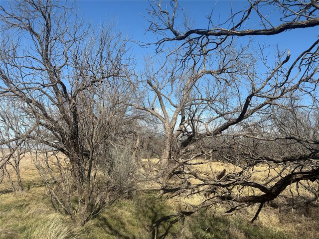 TBD CR 260, Anson, TX 79501