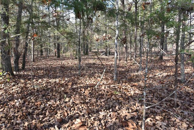 Lot 53 Sunnyside Avenue, Fairfield Bay, AR 72088