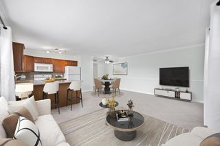 144 Canterbury F, West Palm Beach, FL 33417