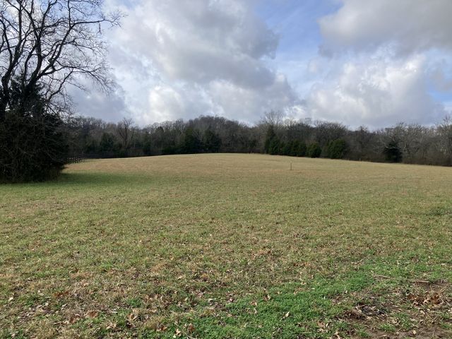 3333 Booker ridge rd, Mount Pleasant, TN 38474