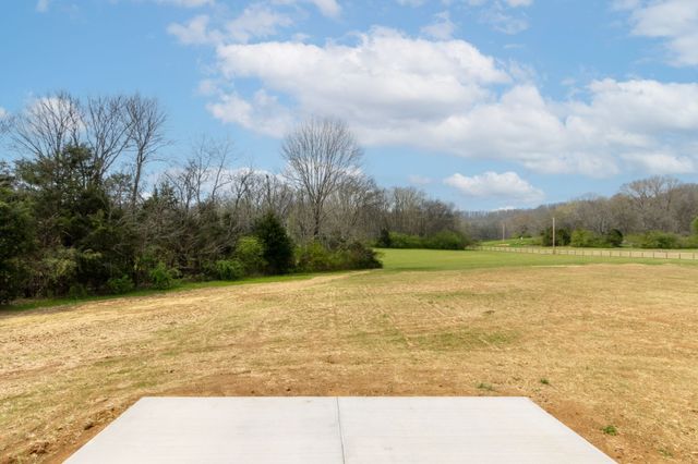 3333 Booker ridge rd, Mount Pleasant, TN 38474