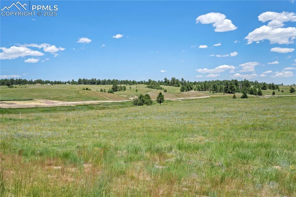 10438 Alamar Way, Colorado Springs, CO 80908 — photo 3