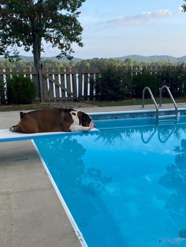 935 County Road 509, Cedar Bluff, AL 35959