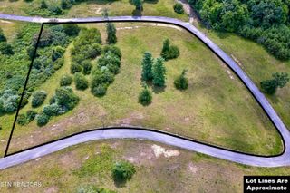 Highway 62, Deer Lodge, TN 37726