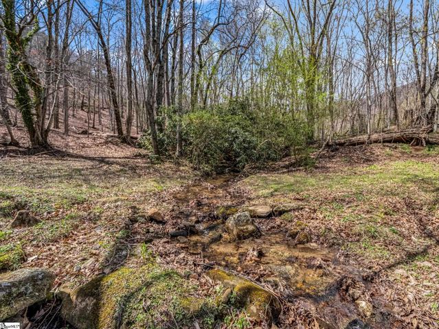 175 Pink Campbell Road, Landrum, SC 29356