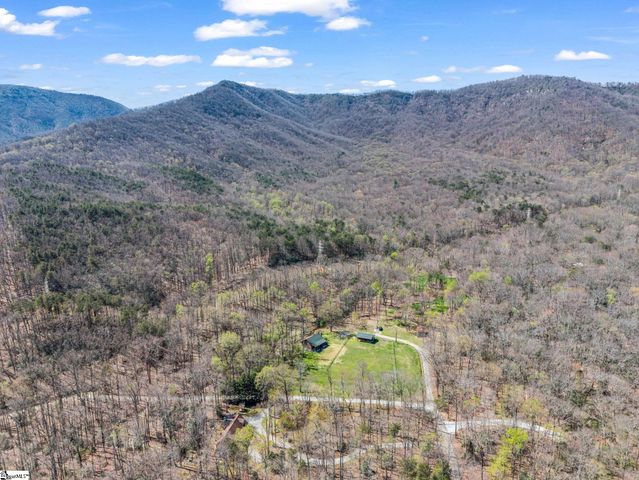 175 Pink Campbell Road, Landrum, SC 29356