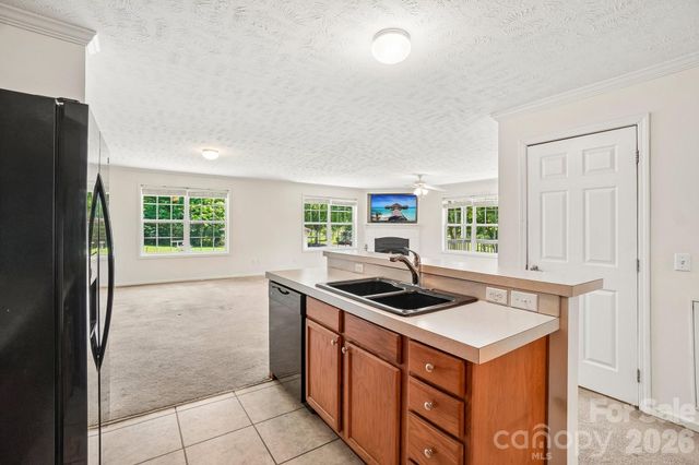 119 E Meadow Lane, Horse Shoe, NC 28742