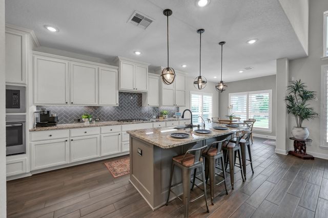 25015 Karacabey Court, Spring, TX 77389