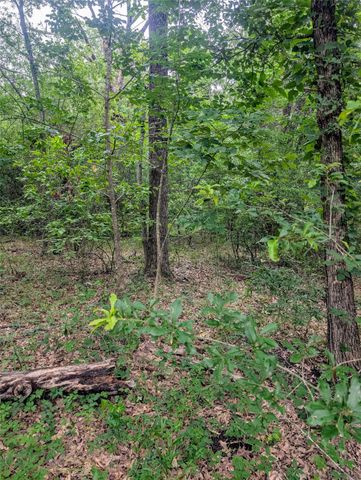 0 Harris Boulevard, Malakoff, TX 75148