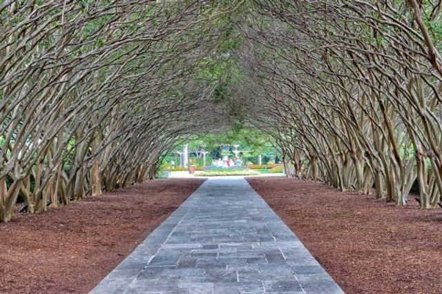 9849 County Cork Dr, Dallas, TX 75218