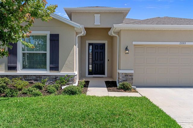 13393 GOLDEN LIME AVENUE, Spring Hill, FL 34609