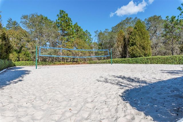 13393 GOLDEN LIME AVENUE, Spring Hill, FL 34609