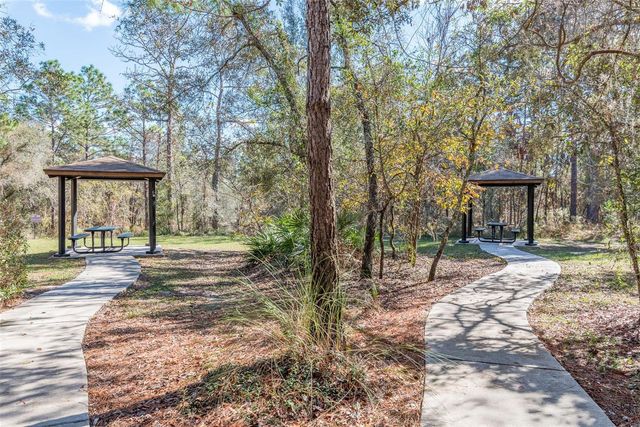 13393 GOLDEN LIME AVENUE, Spring Hill, FL 34609