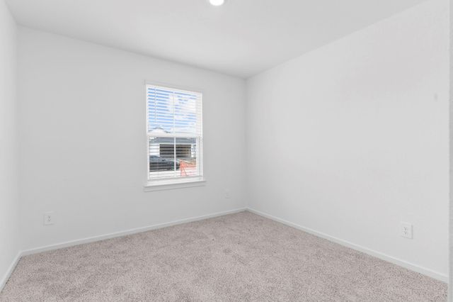1014 Garnet Rain Drive, Beasley, TX 77417
