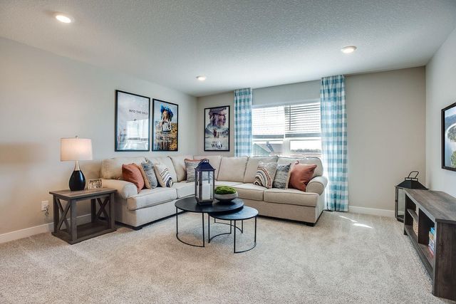 1717 Oak Creek Pass, Chaska, MN 55318