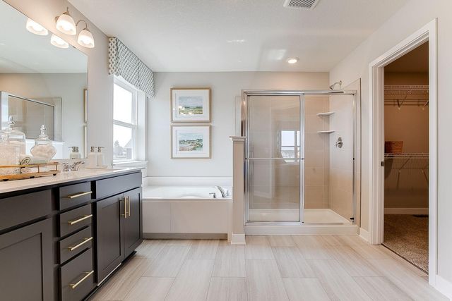 1717 Oak Creek Pass, Chaska, MN 55318
