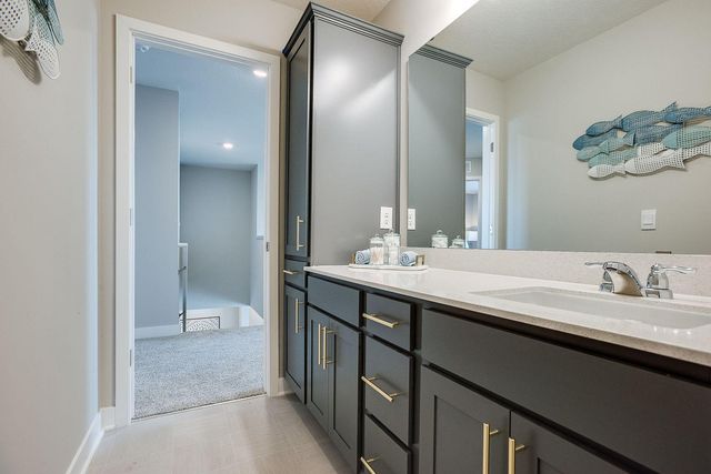 1717 Oak Creek Pass, Chaska, MN 55318
