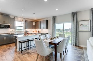 1717 Oak Creek Pass, Chaska, MN 55318