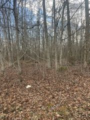 0 Boynton Valley Rd, Manchester, TN 37355