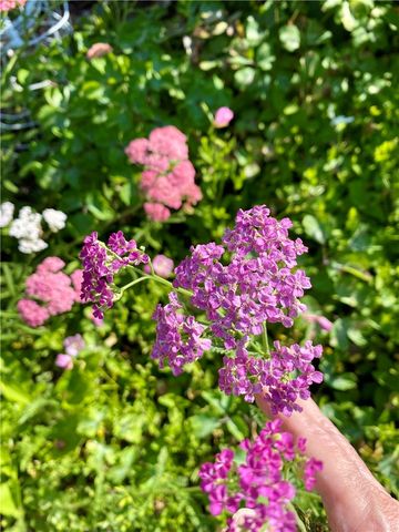 1004 Park Place Ln 1004, Cecil, PA 15317