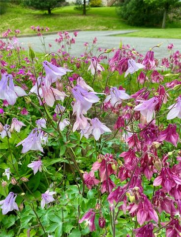 1004 Park Place Ln 1004, Cecil, PA 15317