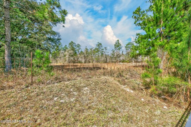 813 SUNNY STROLL Drive, Middleburg, FL 32068