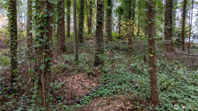 6943 20th Avenue E, Lacey, WA 98503
