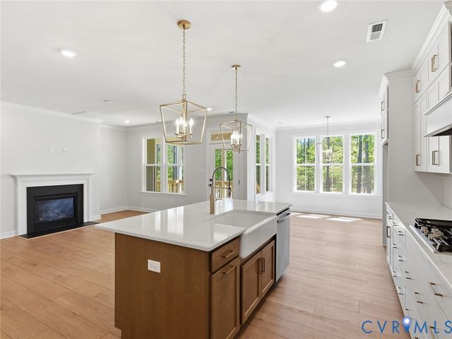 19012 Palisades Rdg, Moseley, VA 23120