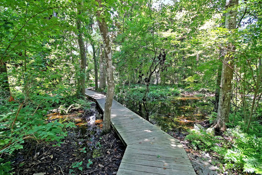 Image 46 of property listing at 5142 Coral Reef Drive, Johns Island, SC 29455