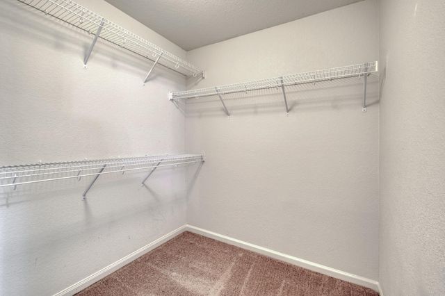 13709 Nelson Houser ST, Manor, TX 78653