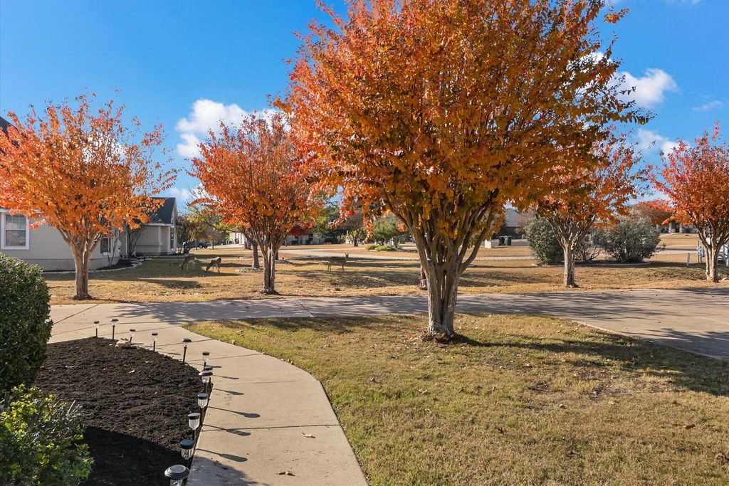 117 W View DR, Georgetown, TX 78628