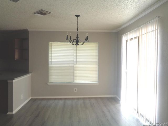 9939 Misty Plain, San Antonio, TX 78245