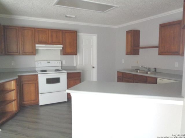 9939 Misty Plain, San Antonio, TX 78245