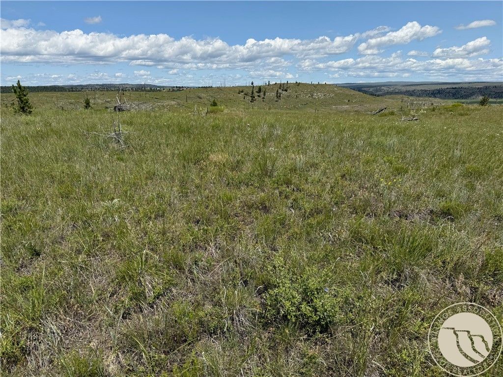 Lot 215 Coyote Pass, Reed Point, MT 59069 photo 10