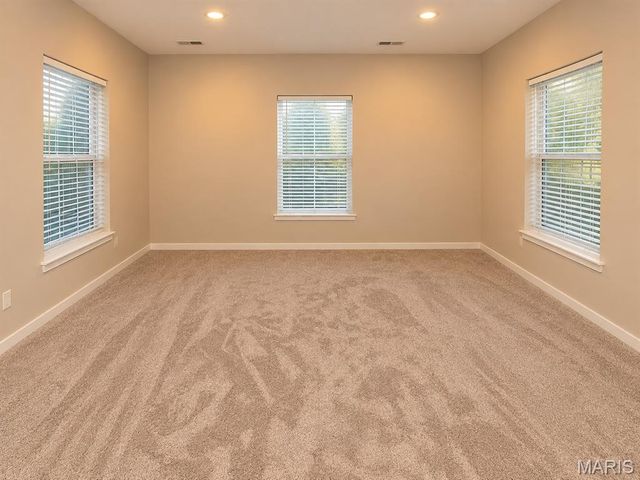 224 Stonebridge Bluff Drive, Maryville, IL 62062
