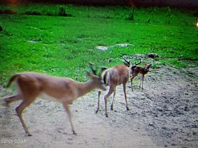 6270 County Lane 84, Reeds, MO 64859