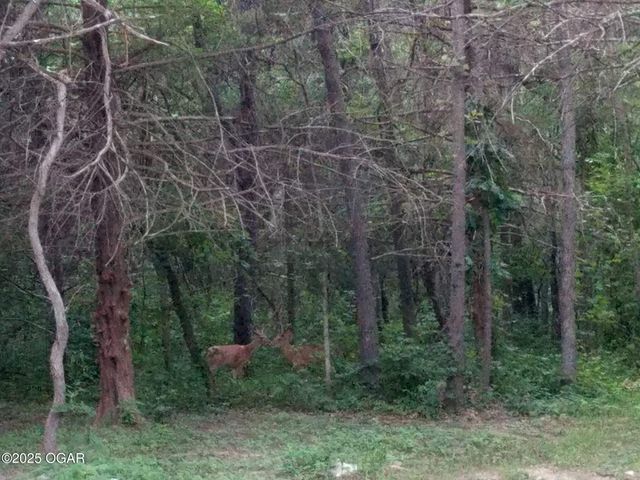 6270 County Lane 84, Reeds, MO 64859