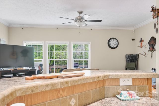 371 Starnes Cove Road, Candler, NC 28715