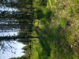 313 Lot 4 Sunset St, Fernwood, ID 83830