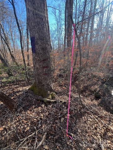 000 Hudlow Road 2, Forest City, NC 28043