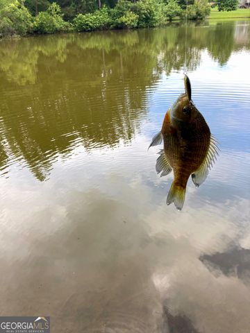 37 Farmstead Way, Senoia, GA 30276