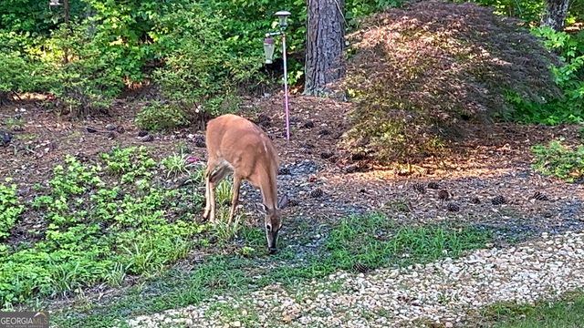 37 Farmstead Way, Senoia, GA 30276